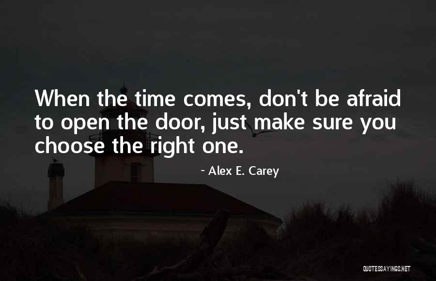 15588360 Quotes By Alex E. Carey 15588360 Quotes By Alex E. Carey