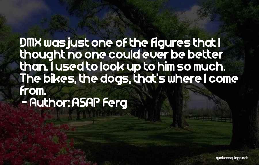 ASAP Ferg Quotes: Dmx Was Just One Of The Figures That I Thought No One Could Ever Be Better Than. I Used To