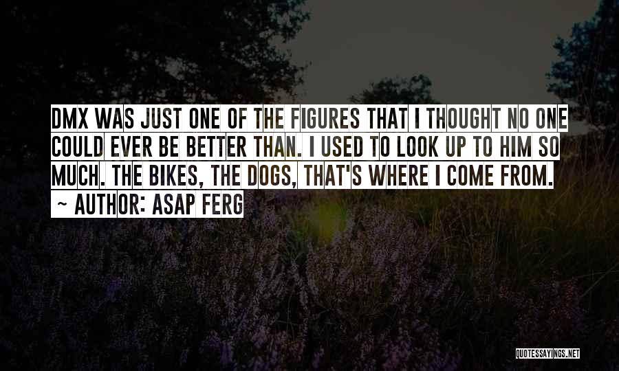 ASAP Ferg Quotes: Dmx Was Just One Of The Figures That I Thought No One Could Ever Be Better Than. I Used To
