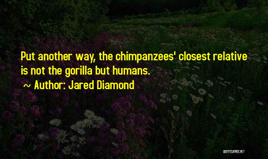 Jared Diamond Quotes: Put Another Way, The Chimpanzees' Closest Relative Is Not The Gorilla But Humans.