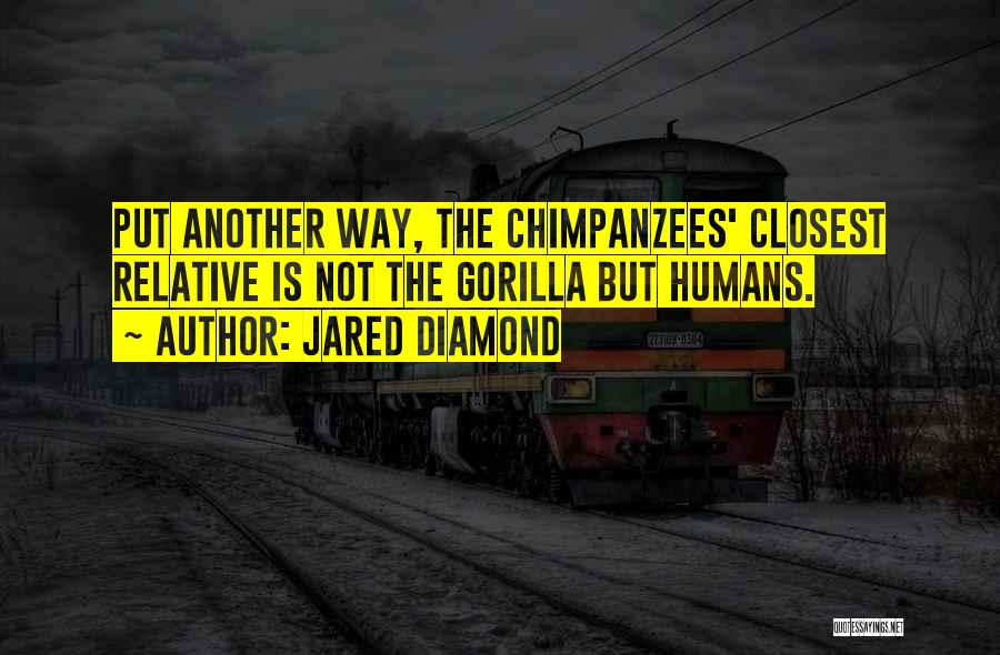 Jared Diamond Quotes: Put Another Way, The Chimpanzees' Closest Relative Is Not The Gorilla But Humans.