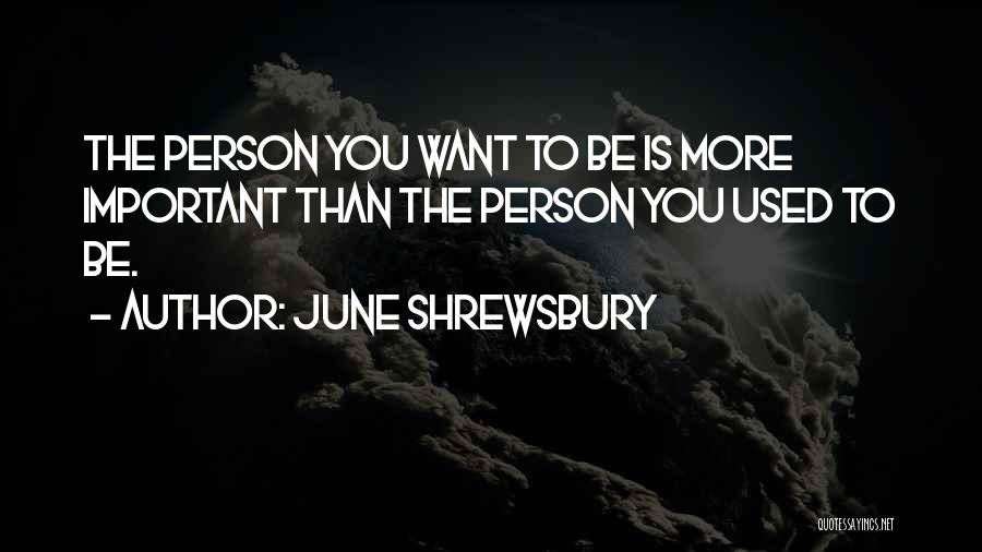 June Shrewsbury Quotes: The Person You Want To Be Is More Important Than The Person You Used To Be.