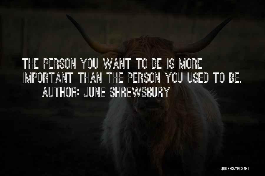 June Shrewsbury Quotes: The Person You Want To Be Is More Important Than The Person You Used To Be.