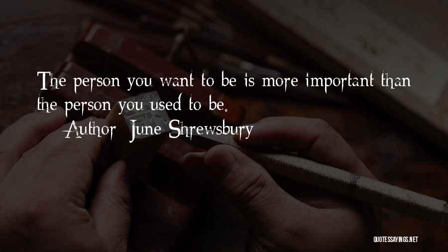 June Shrewsbury Quotes: The Person You Want To Be Is More Important Than The Person You Used To Be.