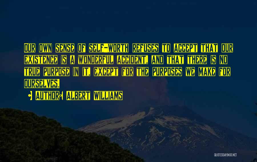 Albert Williams Quotes: Our Own Sense Of Self-worth Refuses To Accept That Our Existence Is A Wonderful Accident, And That There Is No