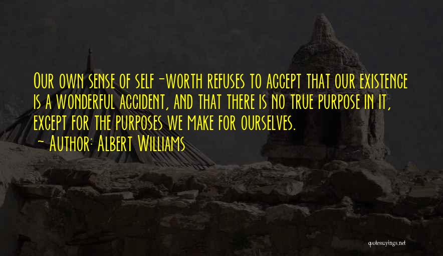 Albert Williams Quotes: Our Own Sense Of Self-worth Refuses To Accept That Our Existence Is A Wonderful Accident, And That There Is No