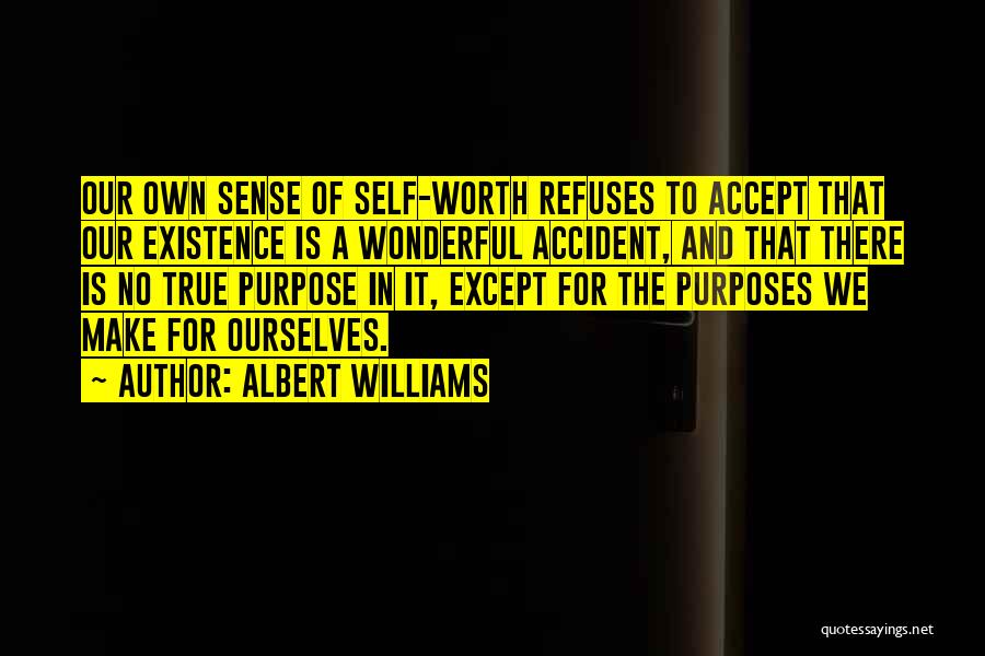 Albert Williams Quotes: Our Own Sense Of Self-worth Refuses To Accept That Our Existence Is A Wonderful Accident, And That There Is No