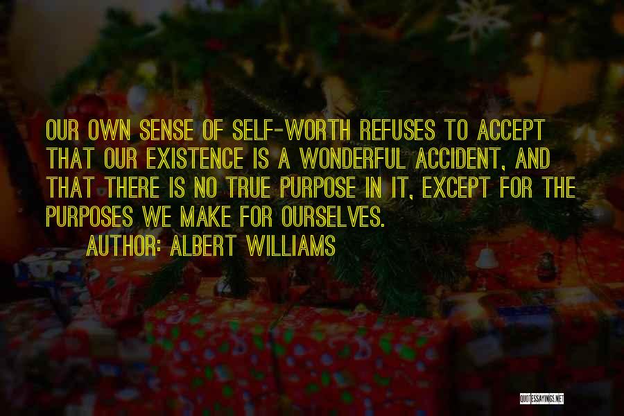Albert Williams Quotes: Our Own Sense Of Self-worth Refuses To Accept That Our Existence Is A Wonderful Accident, And That There Is No