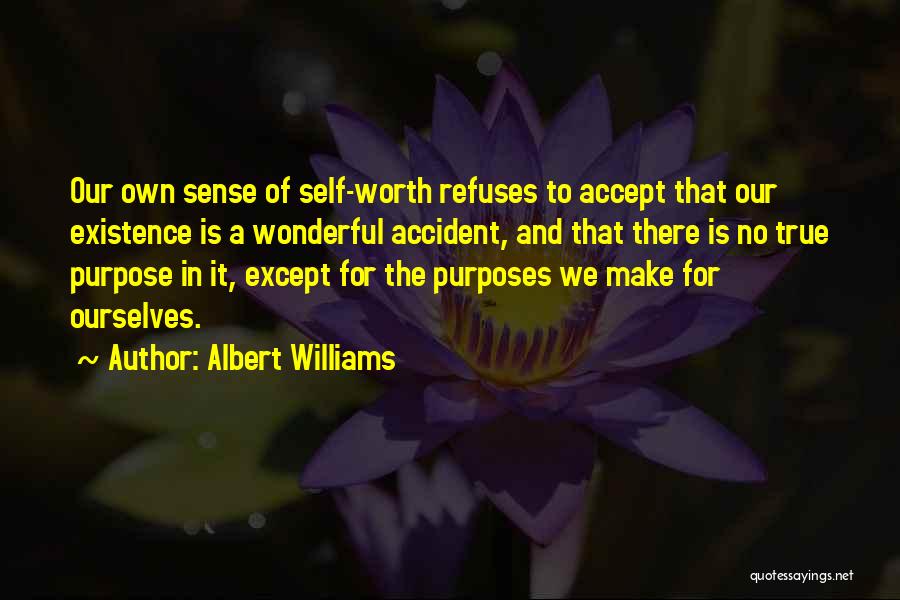 Albert Williams Quotes: Our Own Sense Of Self-worth Refuses To Accept That Our Existence Is A Wonderful Accident, And That There Is No