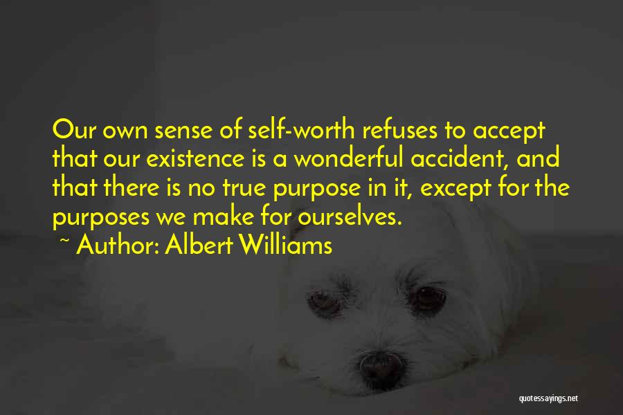 Albert Williams Quotes: Our Own Sense Of Self-worth Refuses To Accept That Our Existence Is A Wonderful Accident, And That There Is No