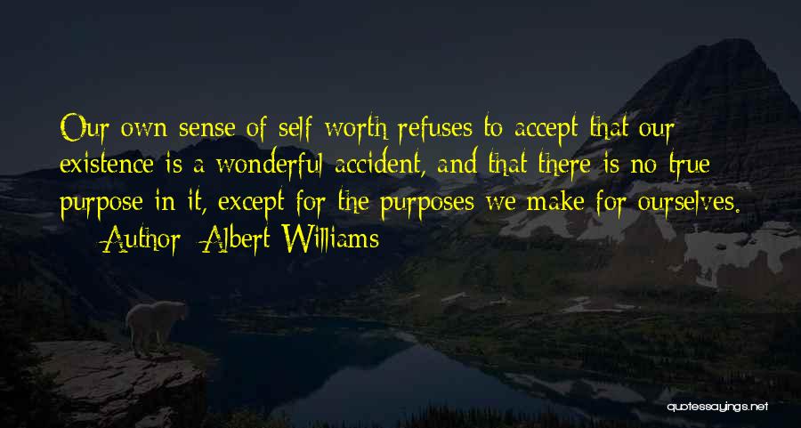 Albert Williams Quotes: Our Own Sense Of Self-worth Refuses To Accept That Our Existence Is A Wonderful Accident, And That There Is No