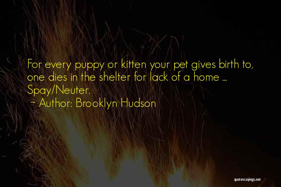 Brooklyn Hudson Quotes: For Every Puppy Or Kitten Your Pet Gives Birth To, One Dies In The Shelter For Lack Of A Home