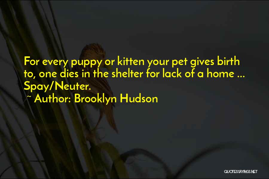 Brooklyn Hudson Quotes: For Every Puppy Or Kitten Your Pet Gives Birth To, One Dies In The Shelter For Lack Of A Home