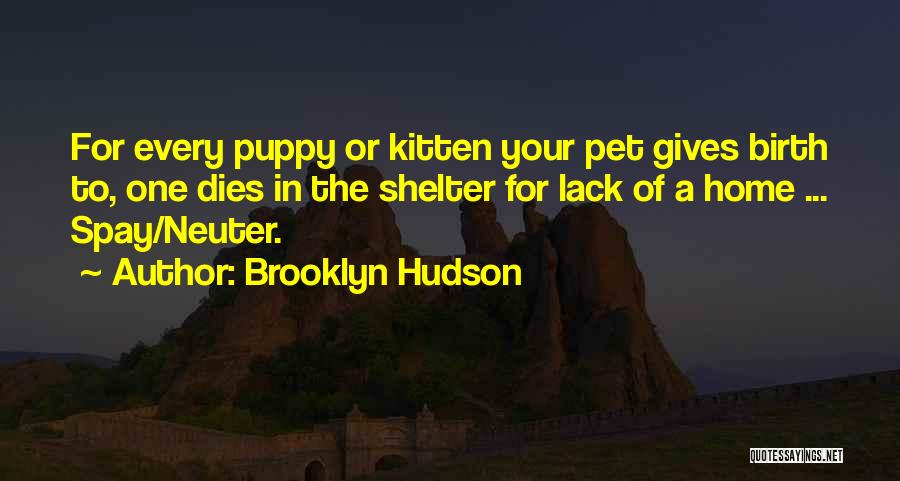 Brooklyn Hudson Quotes: For Every Puppy Or Kitten Your Pet Gives Birth To, One Dies In The Shelter For Lack Of A Home