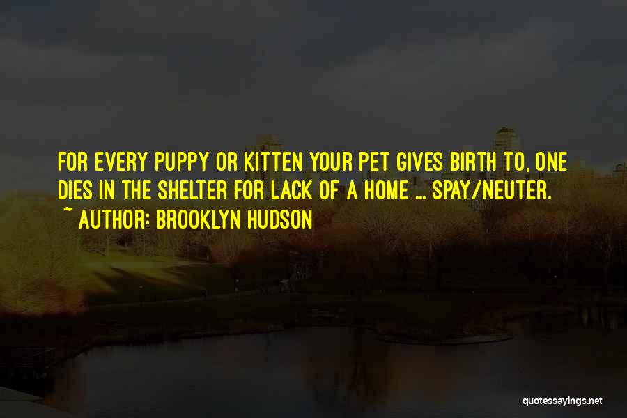 Brooklyn Hudson Quotes: For Every Puppy Or Kitten Your Pet Gives Birth To, One Dies In The Shelter For Lack Of A Home