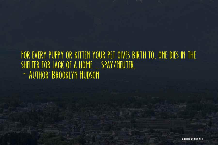 Brooklyn Hudson Quotes: For Every Puppy Or Kitten Your Pet Gives Birth To, One Dies In The Shelter For Lack Of A Home