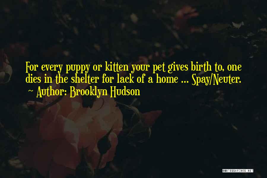 Brooklyn Hudson Quotes: For Every Puppy Or Kitten Your Pet Gives Birth To, One Dies In The Shelter For Lack Of A Home