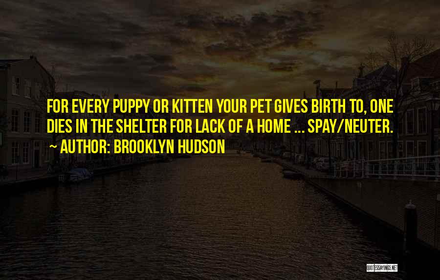 Brooklyn Hudson Quotes: For Every Puppy Or Kitten Your Pet Gives Birth To, One Dies In The Shelter For Lack Of A Home