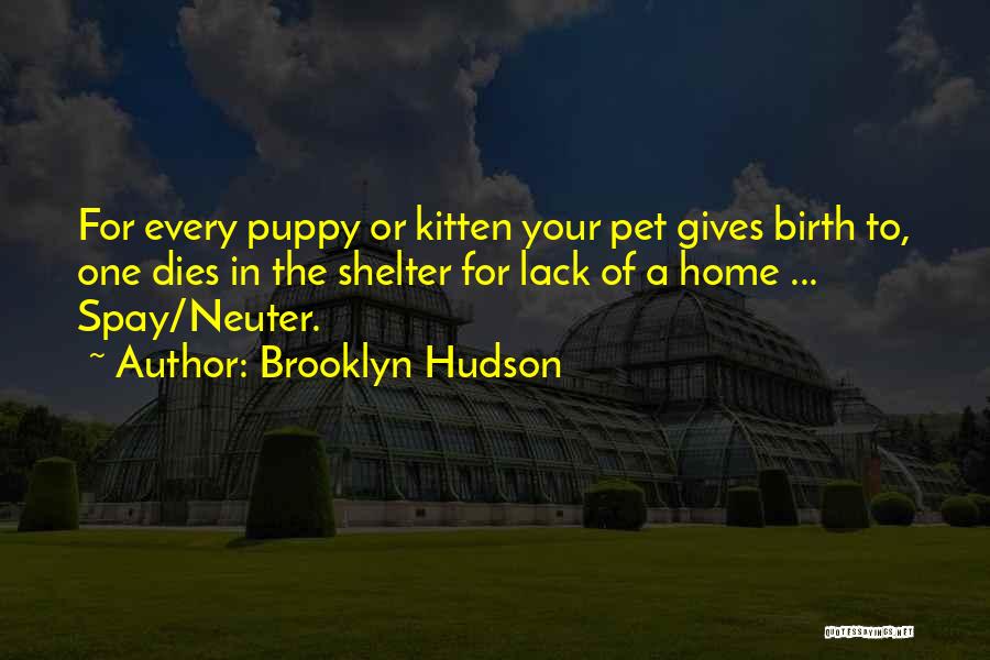 Brooklyn Hudson Quotes: For Every Puppy Or Kitten Your Pet Gives Birth To, One Dies In The Shelter For Lack Of A Home