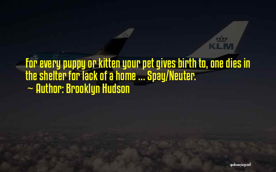 Brooklyn Hudson Quotes: For Every Puppy Or Kitten Your Pet Gives Birth To, One Dies In The Shelter For Lack Of A Home