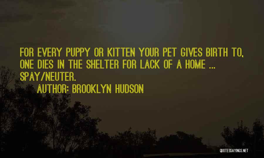 Brooklyn Hudson Quotes: For Every Puppy Or Kitten Your Pet Gives Birth To, One Dies In The Shelter For Lack Of A Home