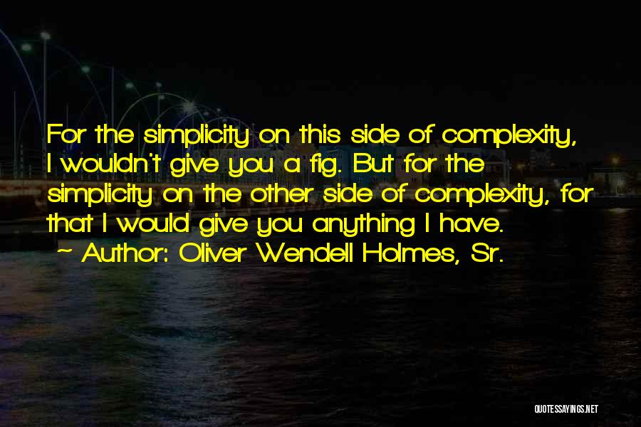 Oliver Wendell Holmes, Sr. Quotes: For The Simplicity On This Side Of Complexity, I Wouldn't Give You A Fig. But For The Simplicity On The