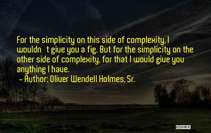 Oliver Wendell Holmes, Sr. Quotes: For The Simplicity On This Side Of Complexity, I Wouldn't Give You A Fig. But For The Simplicity On The