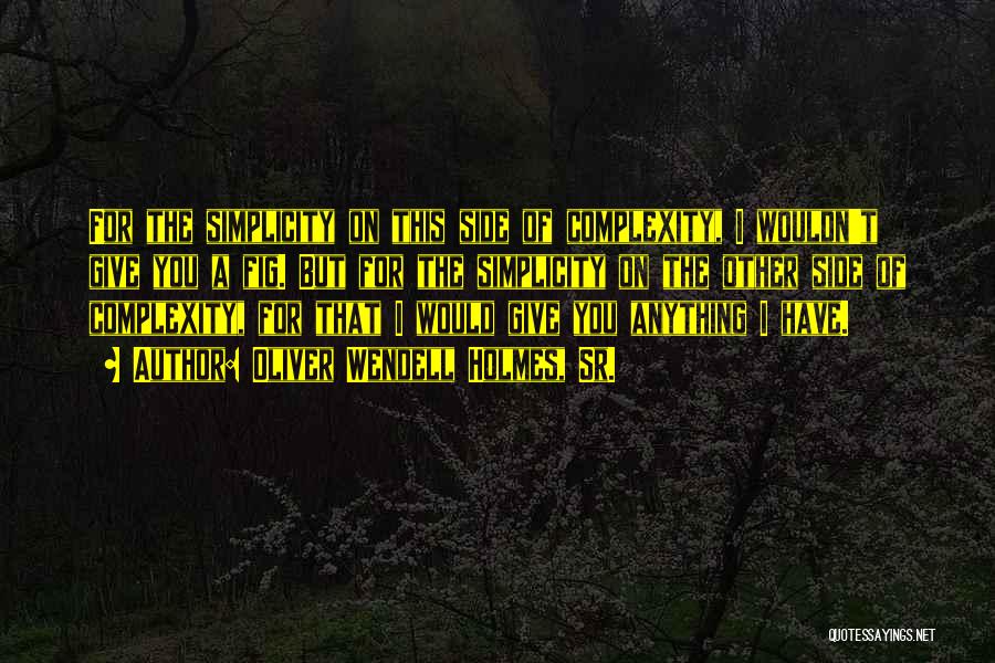 Oliver Wendell Holmes, Sr. Quotes: For The Simplicity On This Side Of Complexity, I Wouldn't Give You A Fig. But For The Simplicity On The