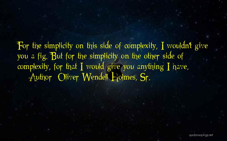 Oliver Wendell Holmes, Sr. Quotes: For The Simplicity On This Side Of Complexity, I Wouldn't Give You A Fig. But For The Simplicity On The