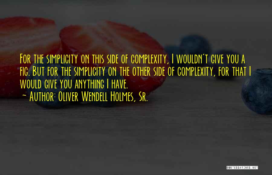 Oliver Wendell Holmes, Sr. Quotes: For The Simplicity On This Side Of Complexity, I Wouldn't Give You A Fig. But For The Simplicity On The