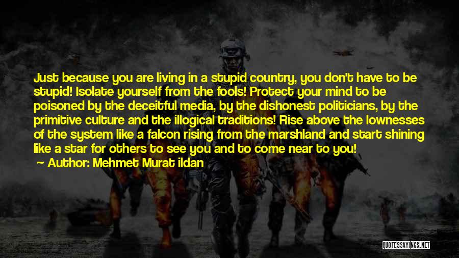 Mehmet Murat Ildan Quotes: Just Because You Are Living In A Stupid Country, You Don't Have To Be Stupid! Isolate Yourself From The Fools!