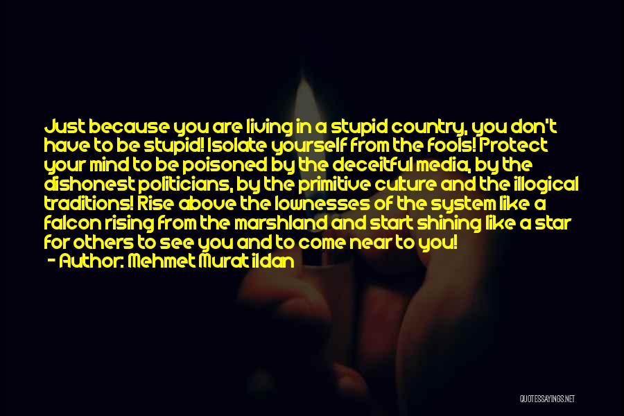 Mehmet Murat Ildan Quotes: Just Because You Are Living In A Stupid Country, You Don't Have To Be Stupid! Isolate Yourself From The Fools!