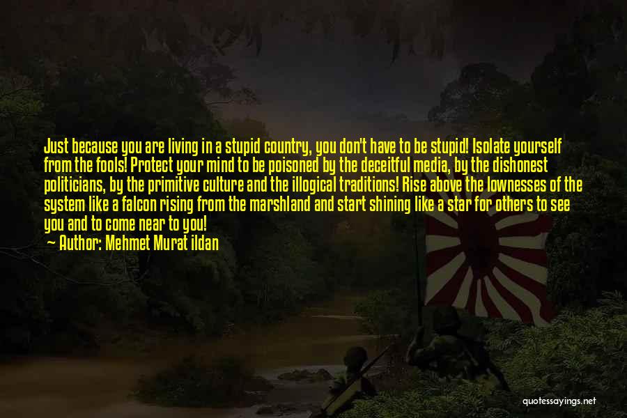 Mehmet Murat Ildan Quotes: Just Because You Are Living In A Stupid Country, You Don't Have To Be Stupid! Isolate Yourself From The Fools!