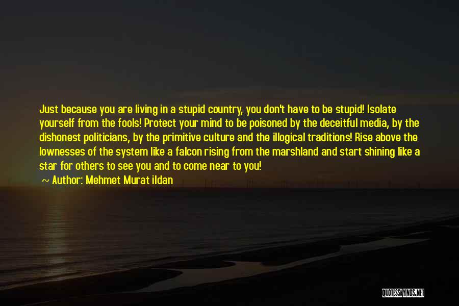 Mehmet Murat Ildan Quotes: Just Because You Are Living In A Stupid Country, You Don't Have To Be Stupid! Isolate Yourself From The Fools!