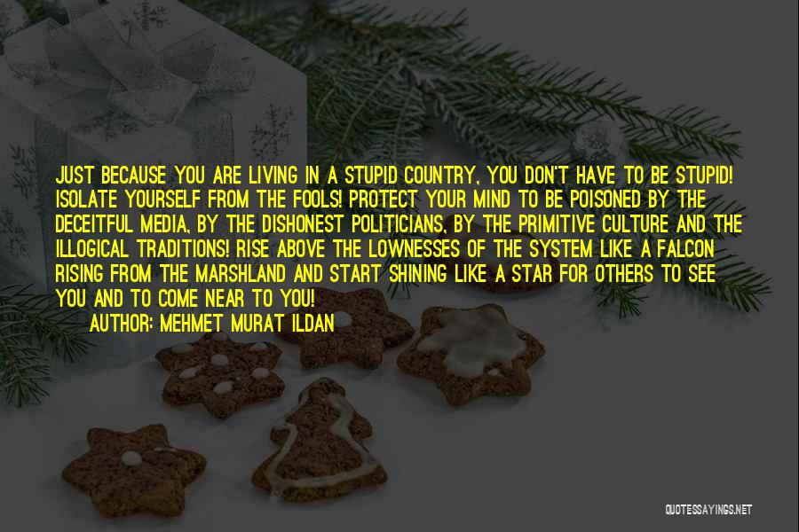 Mehmet Murat Ildan Quotes: Just Because You Are Living In A Stupid Country, You Don't Have To Be Stupid! Isolate Yourself From The Fools!