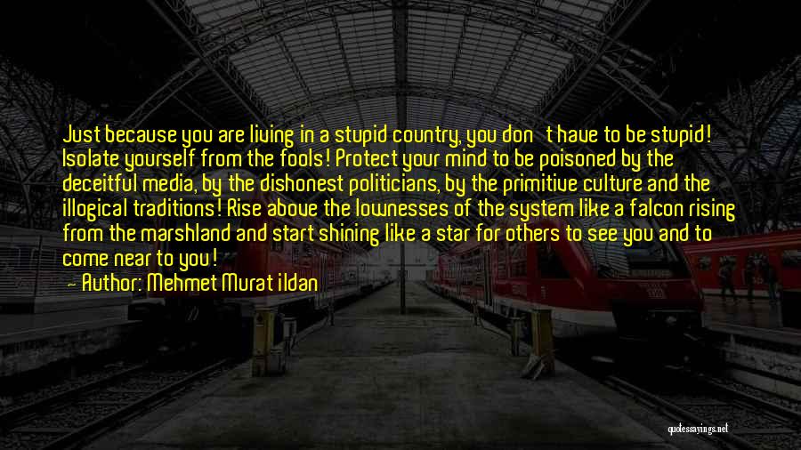 Mehmet Murat Ildan Quotes: Just Because You Are Living In A Stupid Country, You Don't Have To Be Stupid! Isolate Yourself From The Fools!