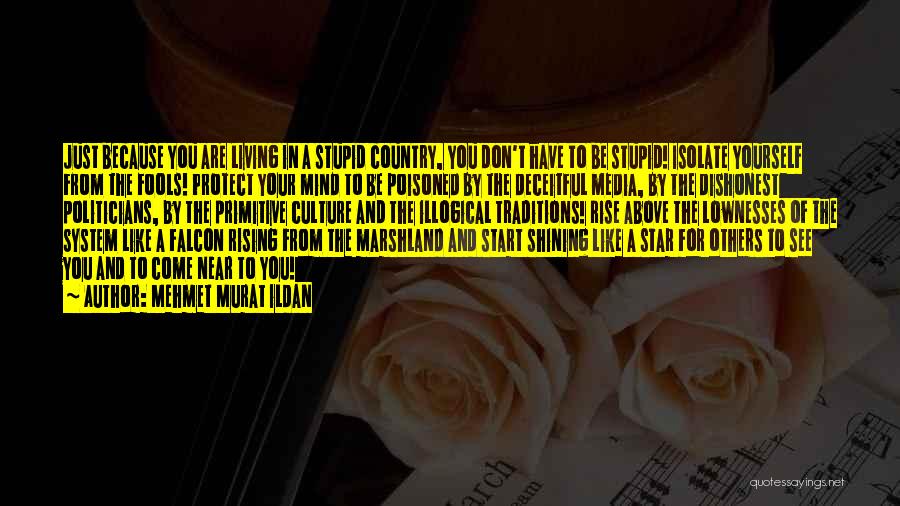 Mehmet Murat Ildan Quotes: Just Because You Are Living In A Stupid Country, You Don't Have To Be Stupid! Isolate Yourself From The Fools!