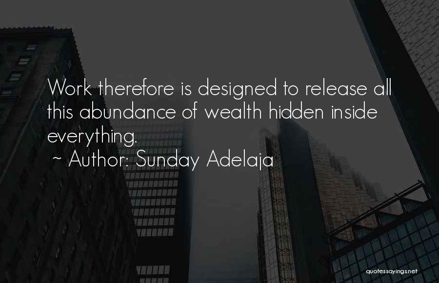 Sunday Adelaja Quotes: Work Therefore Is Designed To Release All This Abundance Of Wealth Hidden Inside Everything.