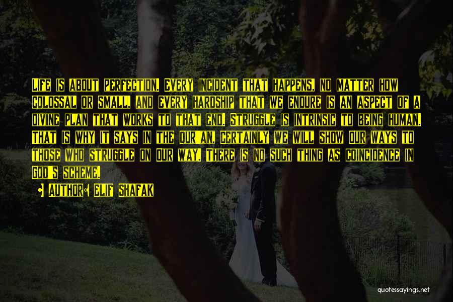Elif Shafak Quotes: Life Is About Perfection. Every Incident That Happens, No Matter How Colossal Or Small, And Every Hardship That We Endure