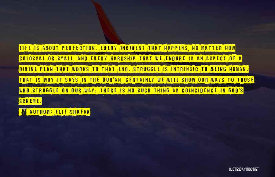 Elif Shafak Quotes: Life Is About Perfection. Every Incident That Happens, No Matter How Colossal Or Small, And Every Hardship That We Endure