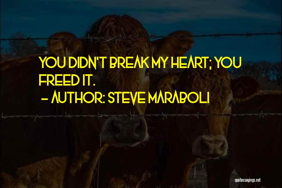 Steve Maraboli Quotes: You Didn't Break My Heart; You Freed It.
