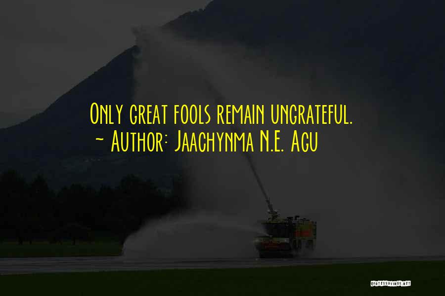 Jaachynma N.E. Agu Quotes: Only Great Fools Remain Ungrateful.