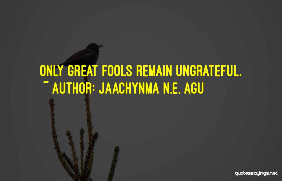Jaachynma N.E. Agu Quotes: Only Great Fools Remain Ungrateful.
