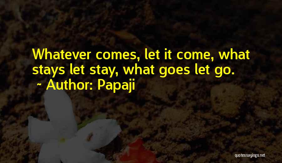 Papaji Quotes: Whatever Comes, Let It Come, What Stays Let Stay, What Goes Let Go.