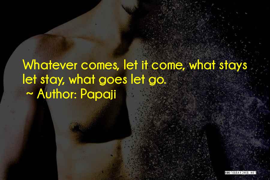 Papaji Quotes: Whatever Comes, Let It Come, What Stays Let Stay, What Goes Let Go.