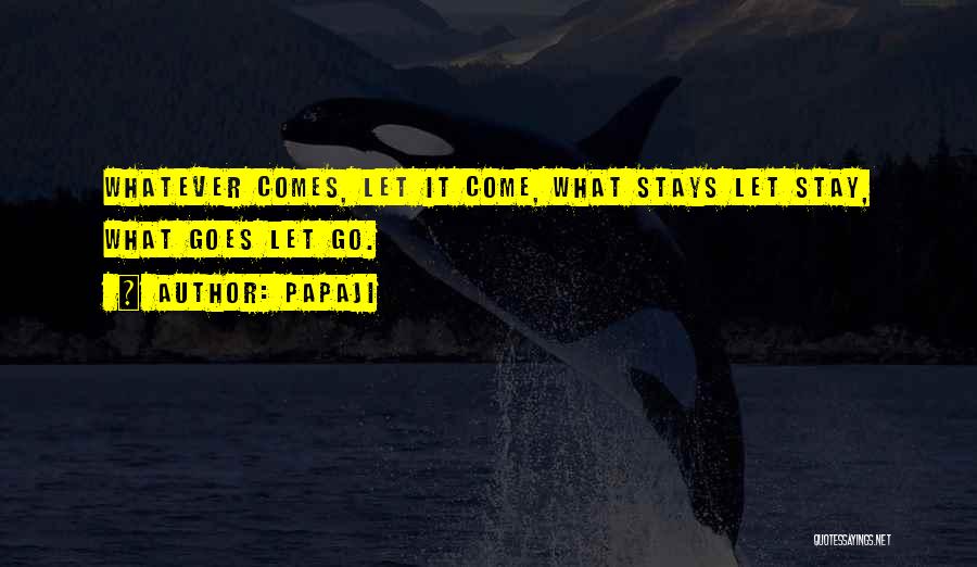 Papaji Quotes: Whatever Comes, Let It Come, What Stays Let Stay, What Goes Let Go.