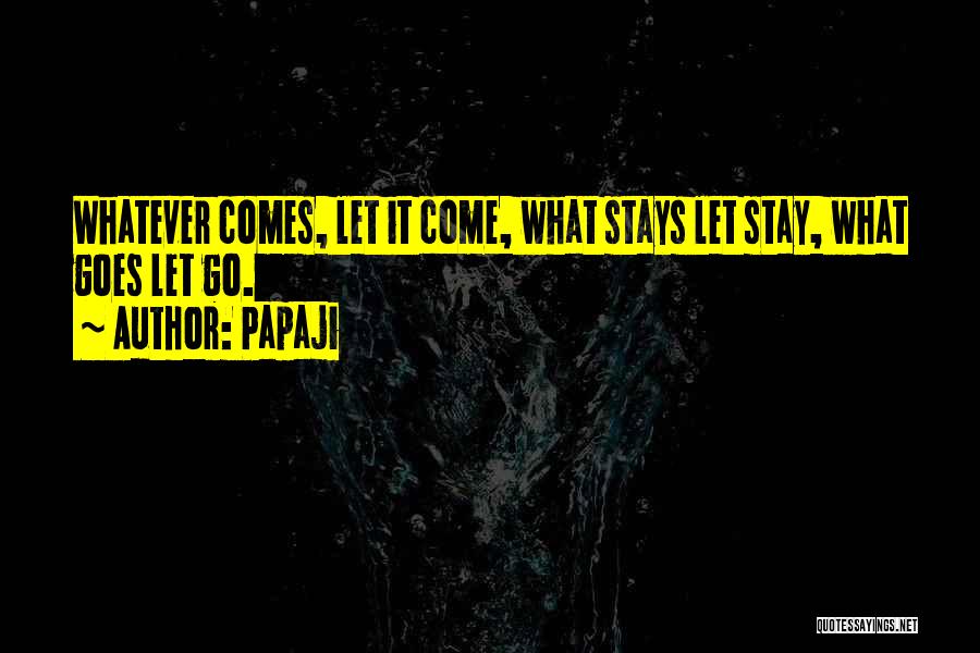 Papaji Quotes: Whatever Comes, Let It Come, What Stays Let Stay, What Goes Let Go.