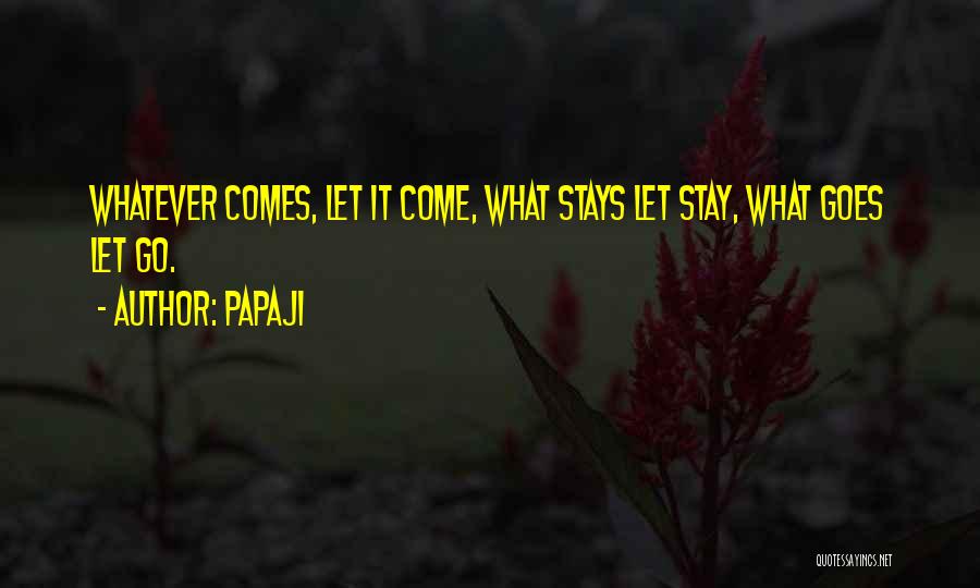 Papaji Quotes: Whatever Comes, Let It Come, What Stays Let Stay, What Goes Let Go.