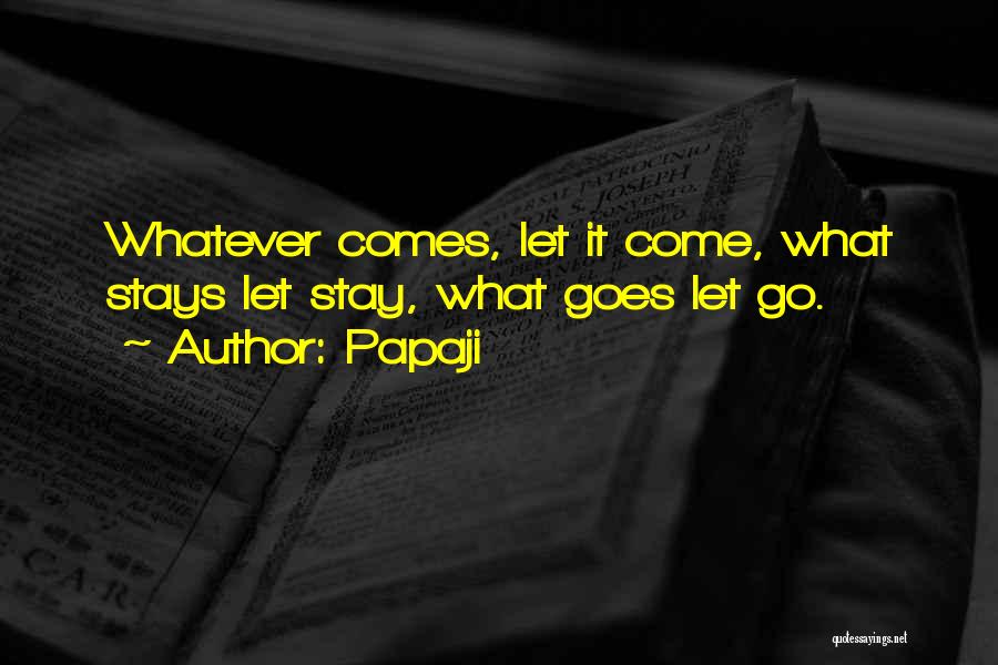 Papaji Quotes: Whatever Comes, Let It Come, What Stays Let Stay, What Goes Let Go.