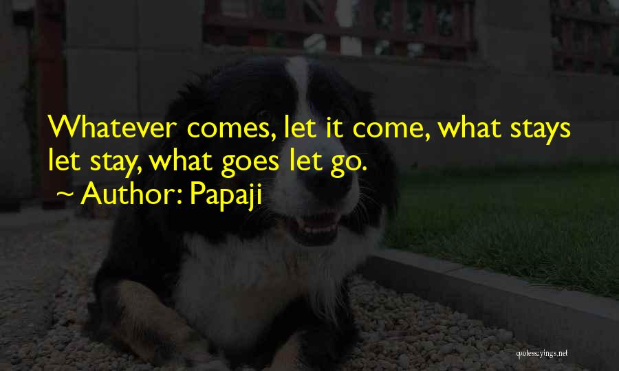 Papaji Quotes: Whatever Comes, Let It Come, What Stays Let Stay, What Goes Let Go.